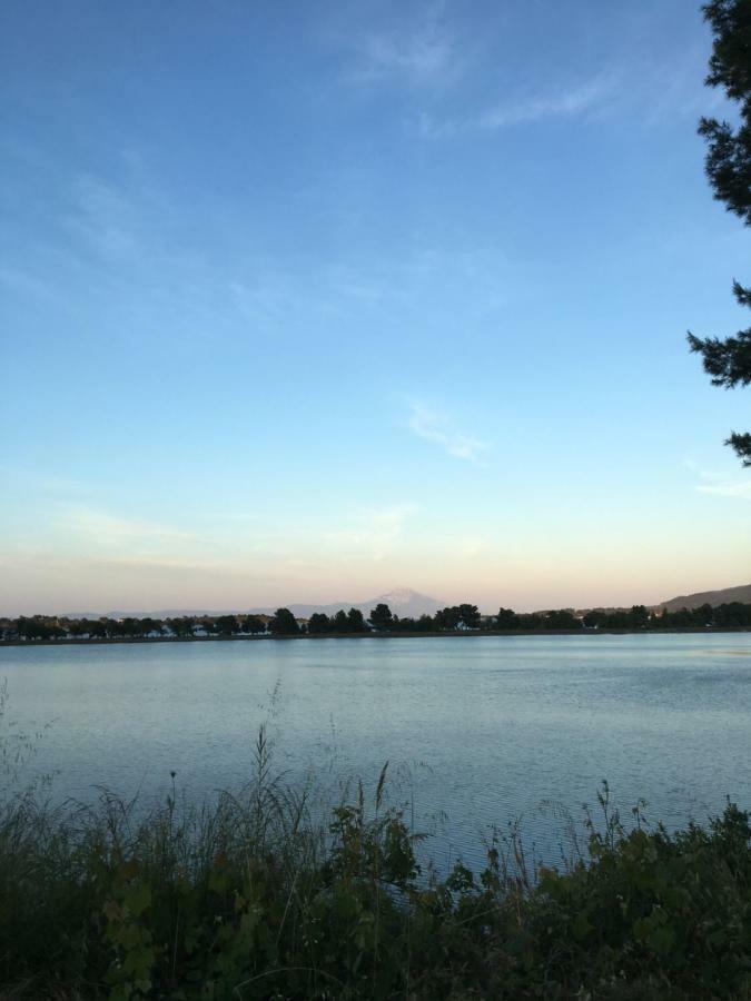 & Haido Apartament
